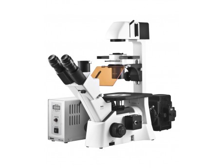 AE31 EF-INV荧光显微镜